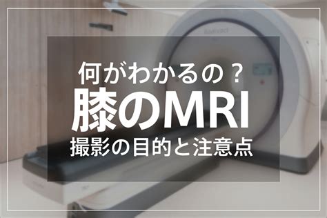 mri セックス|「セックスする男女をMRIで撮影する」という偉業はどのように。